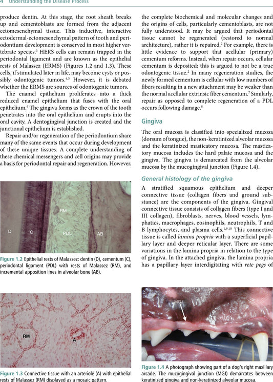 Veterinary Periodontology