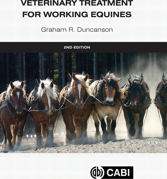Veterinary Treatment For Working Equines