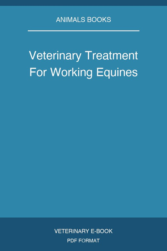 Veterinary Treatment For Working Equines