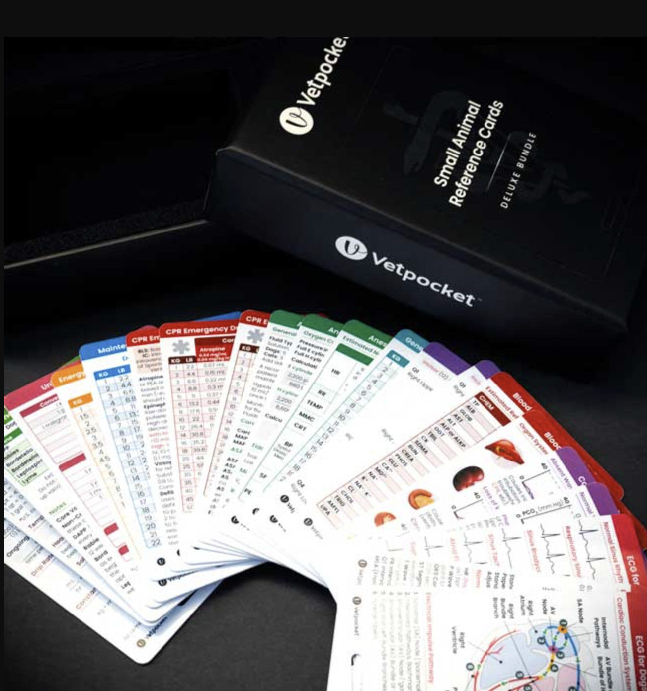 Vetpocket Small Animal Reference Cards