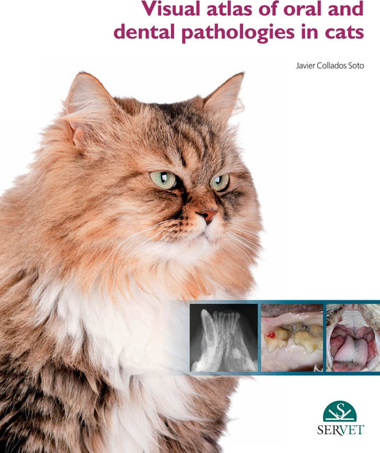 Visual Atlas of Oral and Dental Pathologies in Cats