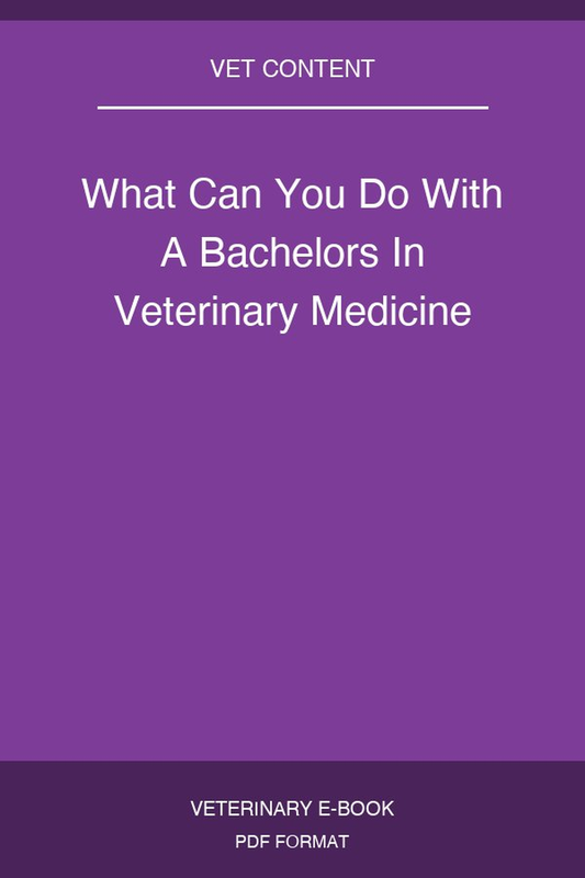 What Can You Do With A Bachelors In Veterinary Medicine
