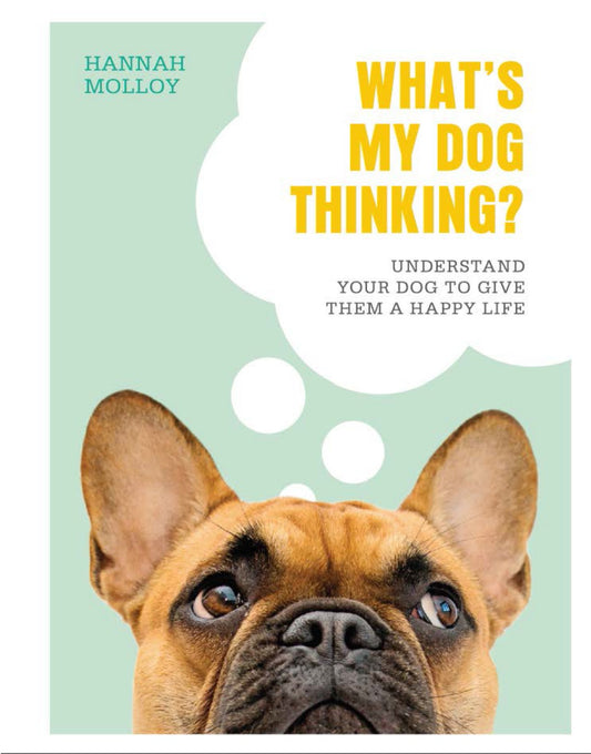 Whats My Dog Thinking Understand Your Dog To Give Them A Happy Life