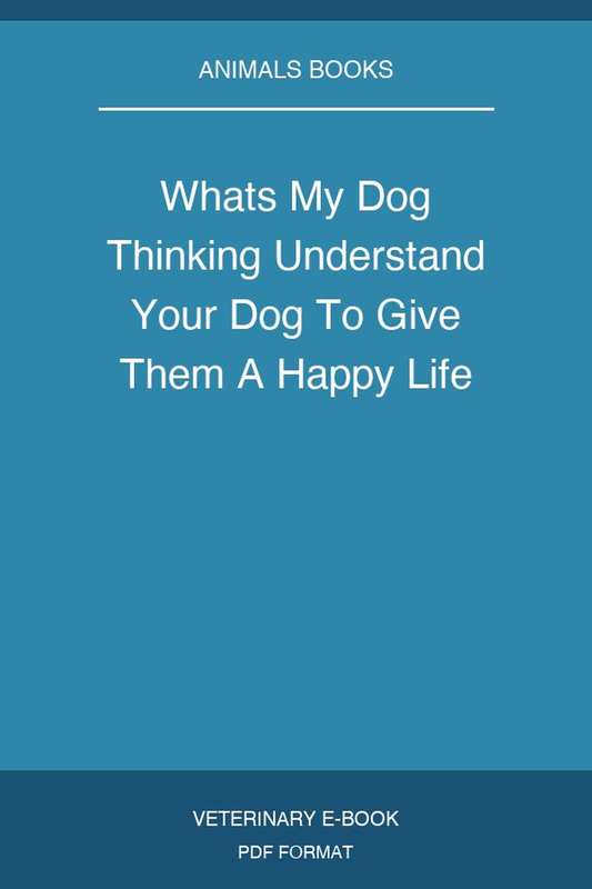 Whats My Dog Thinking Understand Your Dog To Give Them A Happy Life