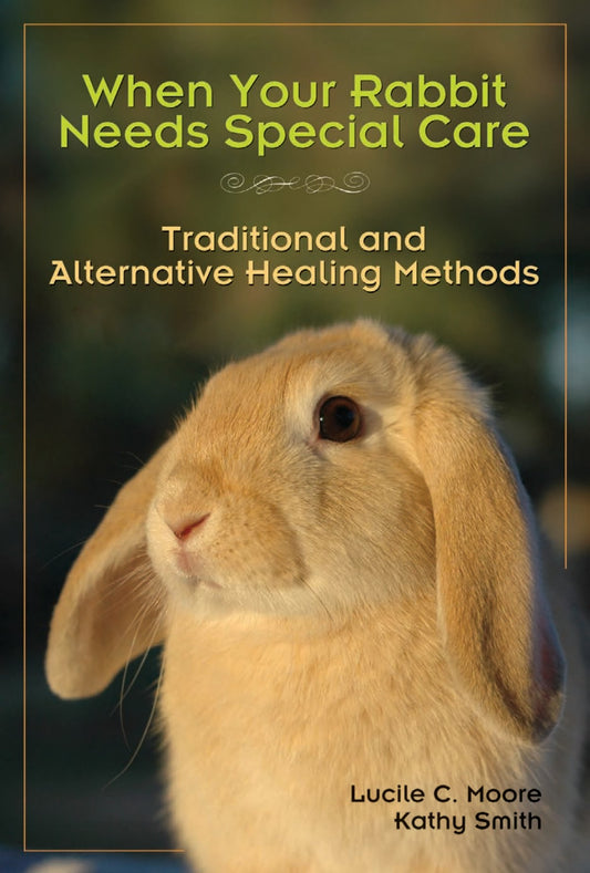 When Your Rabbit Needs Special Care Traditional And Alternative Healing Methods