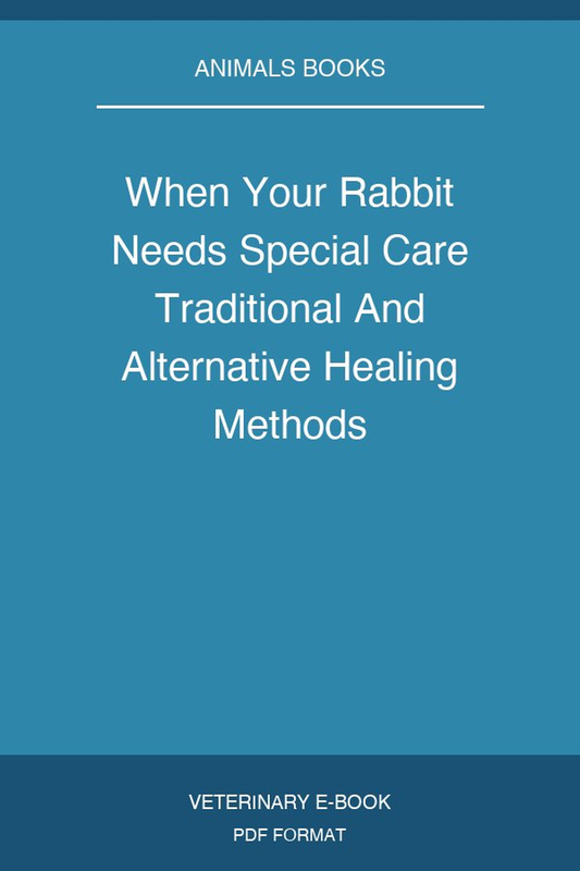 When Your Rabbit Needs Special Care Traditional And Alternative Healing Methods