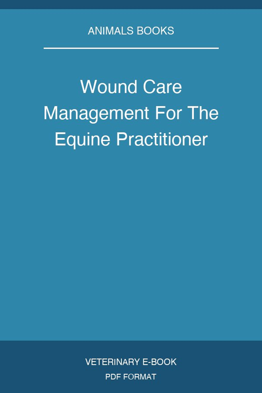 Wound Care Management For The Equine Practitioner