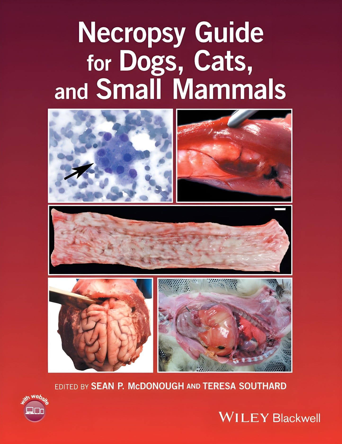 Necropsy Guide For Dogs Cats And Small Mammals