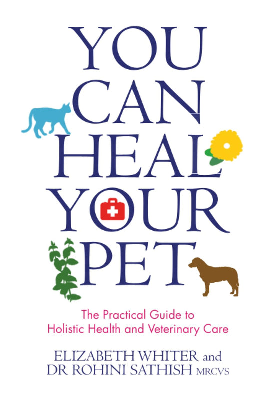 You Can Heal Your Pet The Practical Guide To Holistic Health And Veterinary Care — front cover
