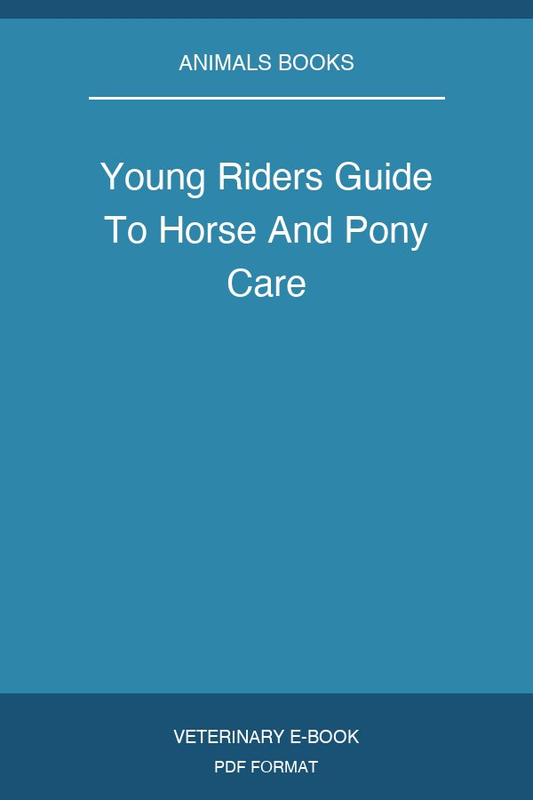 Young Riders Guide To Horse And Pony Care
