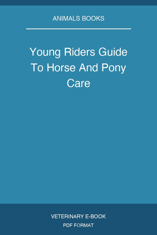 Young Riders Guide To Horse And Pony Care